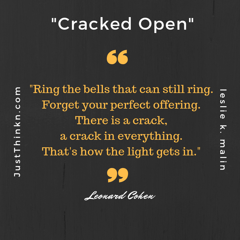 Quotation from " Cracked Open: Reflections on the Transformative Power of Failure, Fear, & Doubt". Leonard Cohen quotation.
